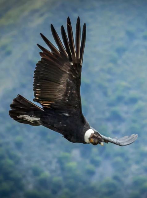 colca-canyon-trekking-2-days-2