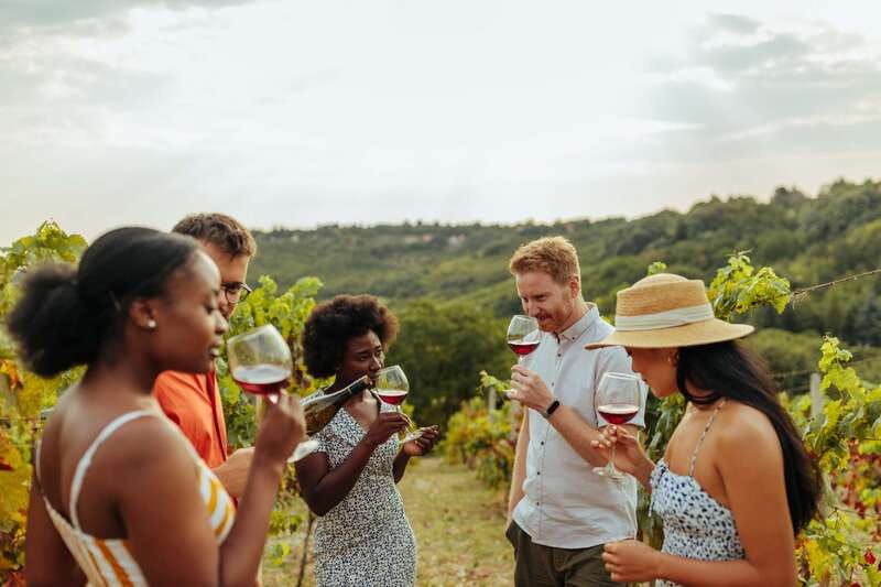collingwood-blue-mountains-wine-and-cider-tasting-tour