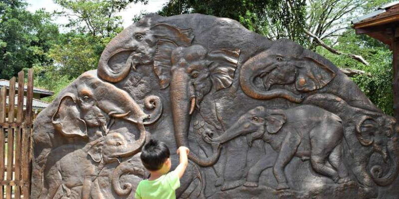 colombo-negombo-kandy-and-pinnawala-orphange-day-tour