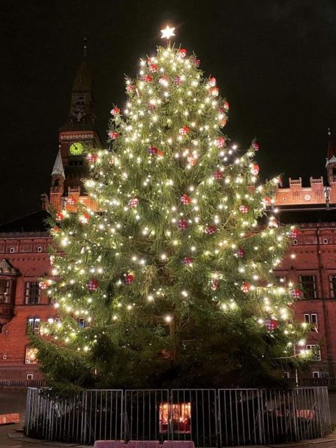 copenhagen-christmas-charm-walking-tour-with-holiday-beer