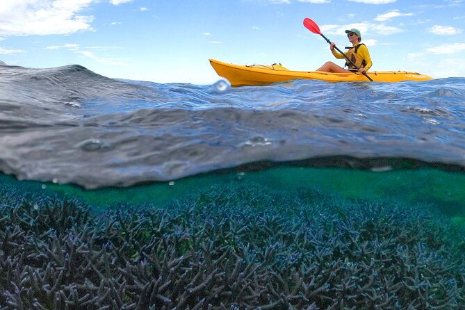 Coral By Kayak - Ningaloo Reef Half Day Kayak & Snorkel Tour - What’s Included & What to Bring