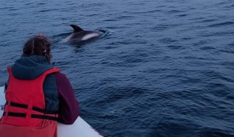 corner-brook-woods-island-adventure-3-hour-zodiac-tour