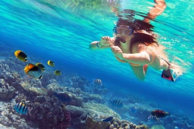 coron-coastal-cliffs-beach-malcapuya-island-hopping-tour