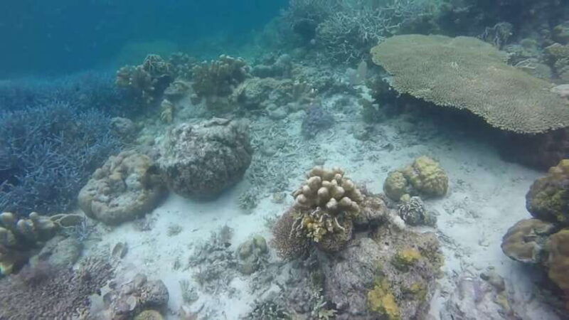 coron-off-bay-islands-lagoons-and-lakes-hopping-tour
