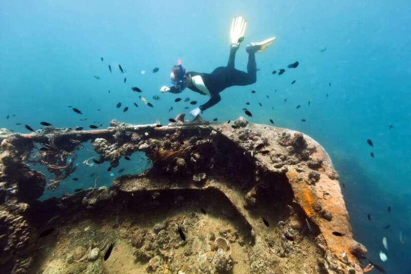 coron-private-tour-d-reef-and-wrecks