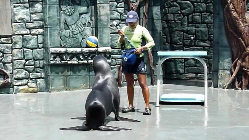 cozumel-chankanaab-beach-adventure-park-and-snorkel