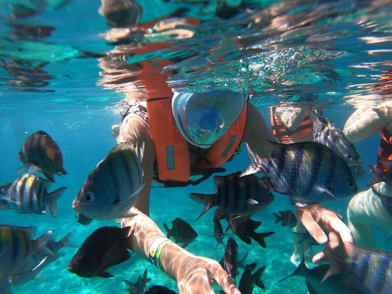 cozumel-invisible-boat-snorkeling-tour