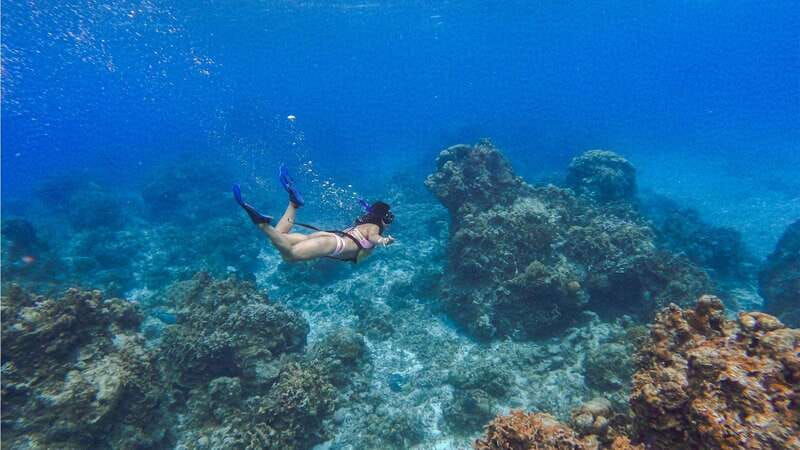 cozumel-transparent-bottom-boat-tour-and-snorkeling-activity