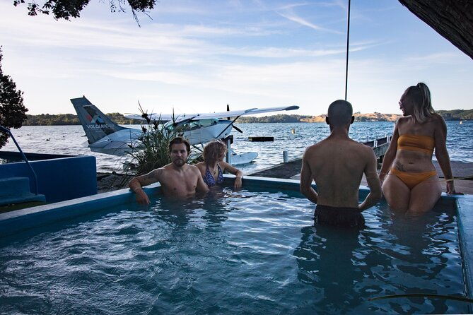 Crater Lakes Scenic Flight with Natural Hot Pool Bathing by Floatplane - What Travelers Say