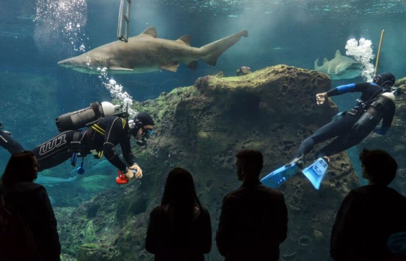 crete-heraklion-center-local-market-and-creta-aquarium
