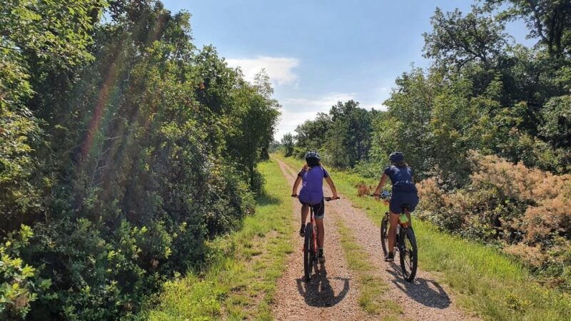 croatia-istria-7-day-premium-cycling-gourmet-e-bike-tour