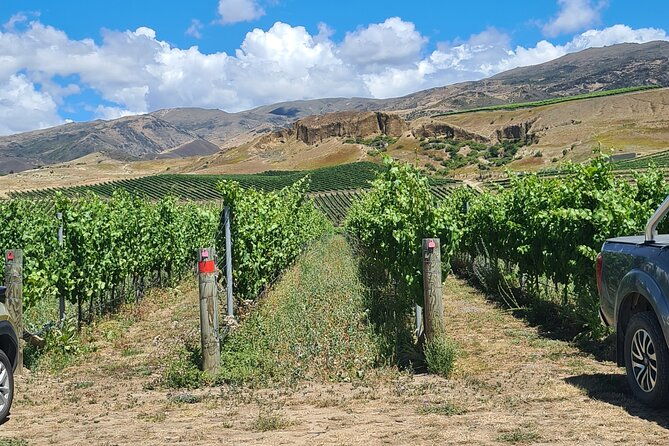 Cromwell Wine Tasting Tour using Classic Car - Why This Tour Is Worth It