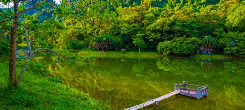 cuc-phuong-forest-the-forest-of-thousands-of-butterflies