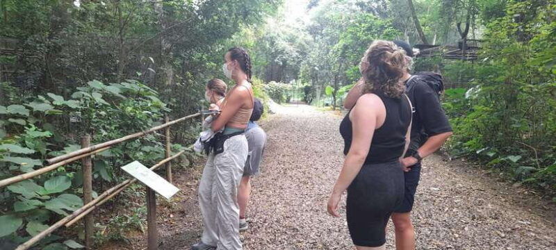 cuc-phuong-national-park-hiking-tour