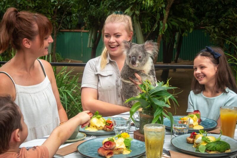 currumbin-wildlife-sanctuary-entry-ticket