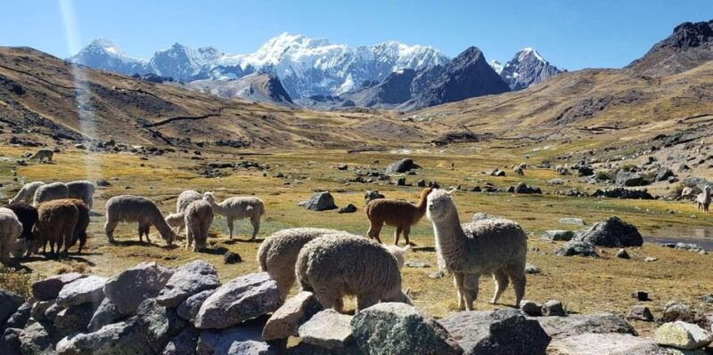 cusco-ausangate-7-lakes-hike