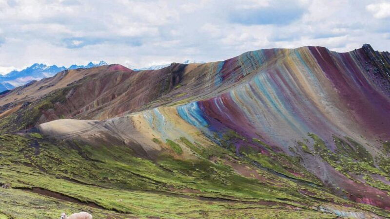 cusco-full-day-palcoyo-mountain-of-colors