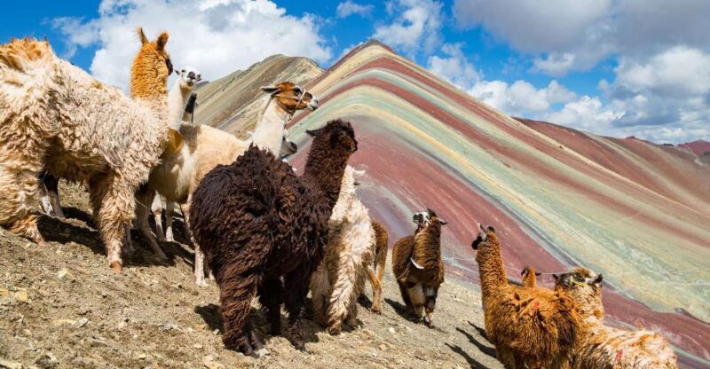 cusco-machu-picchu-and-rainbow-mountain-5-days-tour