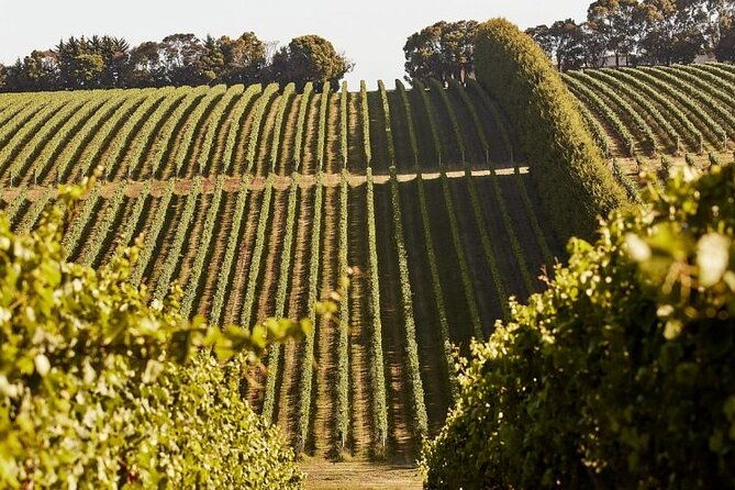 Customized private winery day tour in Mornington Peninsula at your own choices - What Makes This Tour Stand Out?