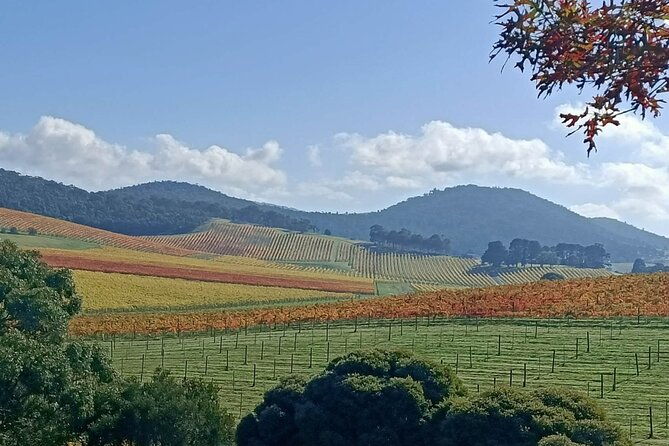 Customized private winery day tour in Yarra Valley at your own choices - Authentic Experiences from Reviewers