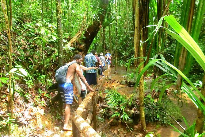 Customized Suva day tour - Who Should Consider This Tour?