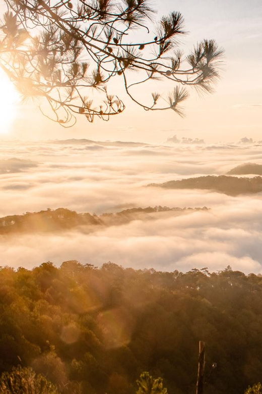 da-lat-chasing-the-sunrise-a-mini-trek-adventure