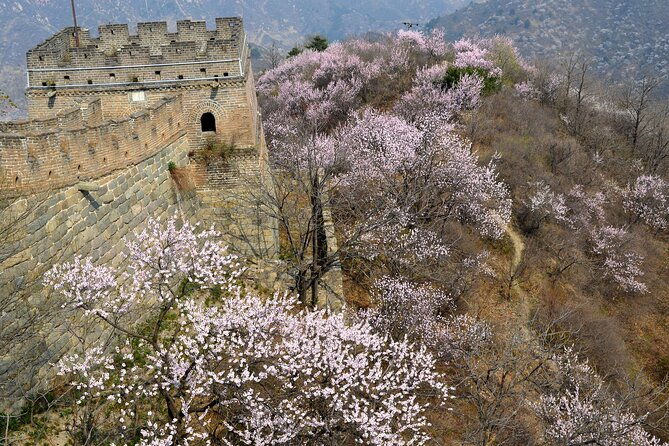 Daily Departure: Mutianyu Great Wall Bus Tour (Max. 8 Hours) - Price and Value Analysis