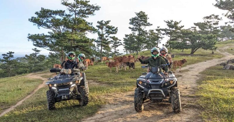 dalat-atv-drive-3-hours
