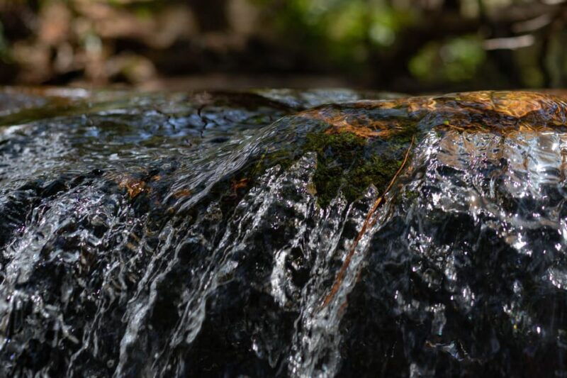 dalat-silent-tour-hiking-swiming-waterfall