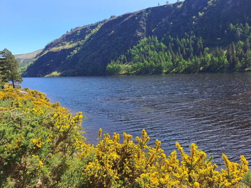 day-car-trip-explore-amazing-county-wicklow-dublin-wicklow