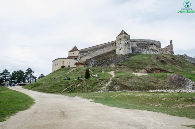 day-trip-bran-castle-rasnov-fortress-and-bear-sanctuary