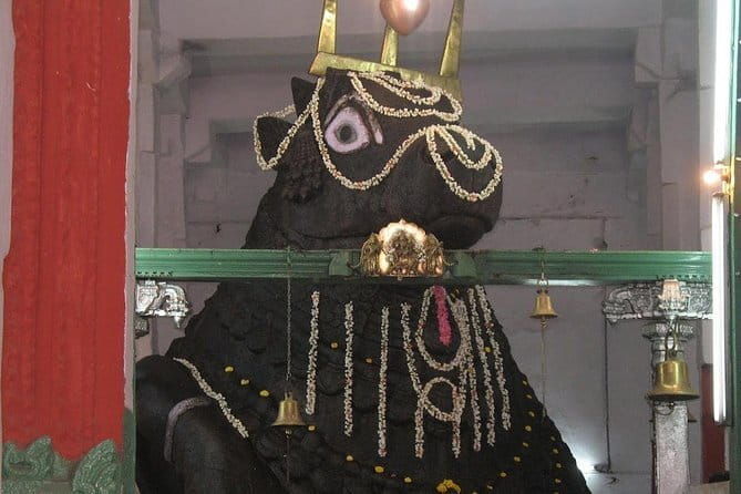 Day trip from Bangalore to Mysore, Somnathapura & Srirangapatna - Who Would Love This Tour?