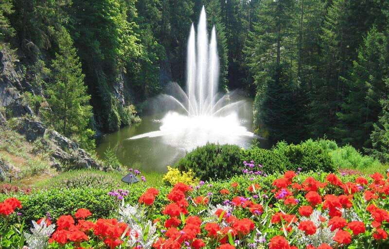 day-trip-from-vancouver-to-victoria-and-butchart-gardens