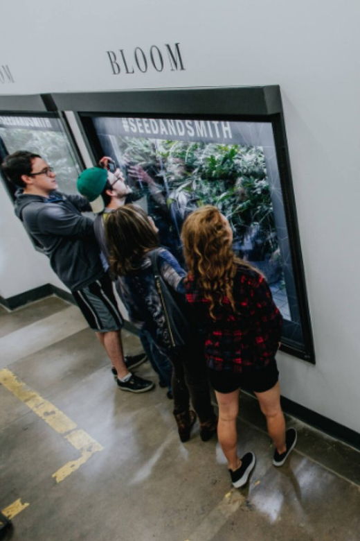 denver-buds-brews-cannabis-grow-tour-and-brewery-visit