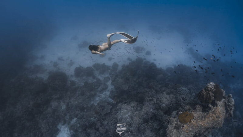 discover-freediving-in-boracay