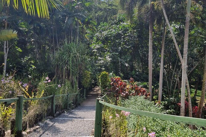 Discover Nadi Fiji Private Tour (All Fees Included) - Who Should Consider This Tour?