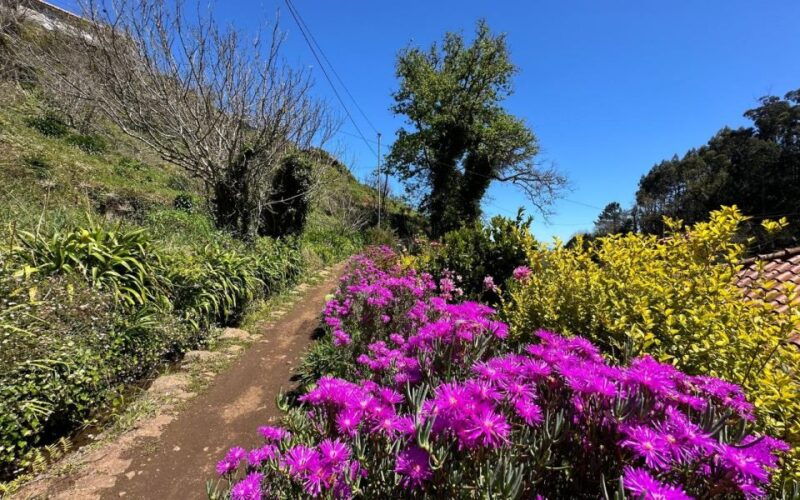 discover-the-paradise-valley-a-quick-escape-for-everyone
