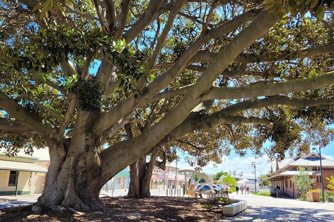 Discover Victor Harbor Walking Tour - Historical Landmarks and Local Stories
