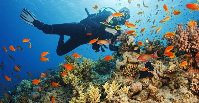diving-tour-from-alanya-side-with-lunch-2-dives-included