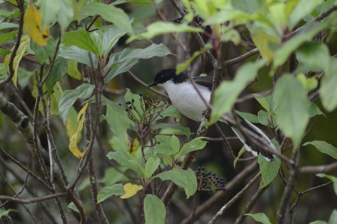 Doi Inthanon Day tour - The Practicalities