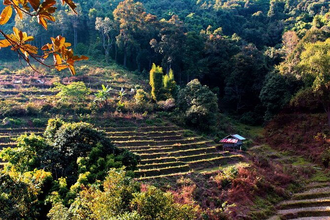 Doi Inthanon National Park, Waterfall & Royal Project Day Tour From Chiang Mai - FAQs
