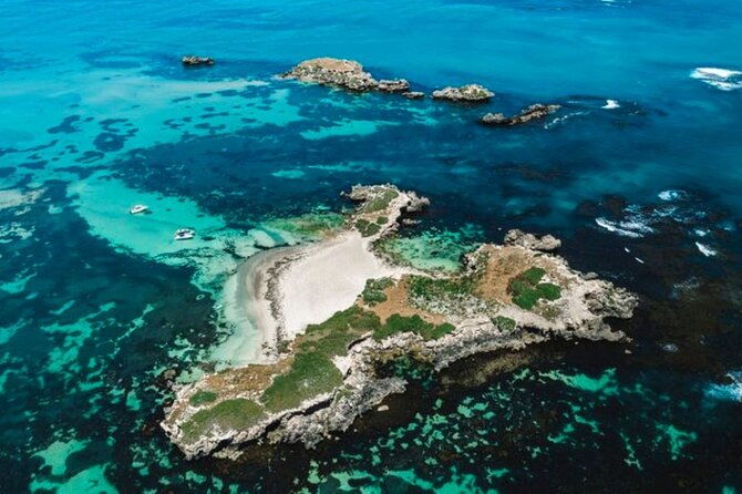 Dolphin and Sealion, Seafood Snorkel Adventure - Who Might Want to Consider Alternatives?