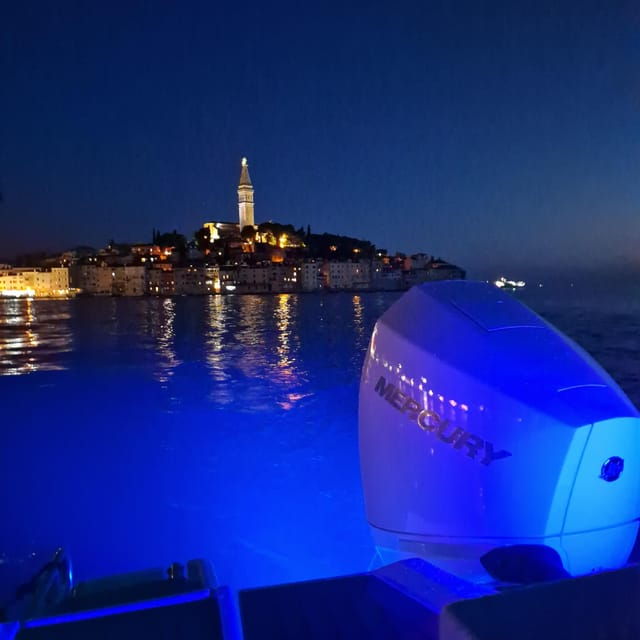 dolphin-private-sunset-tour-rovinj