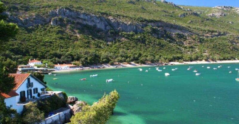 dolphin-watching-sesimbra-arrabida-natural-park