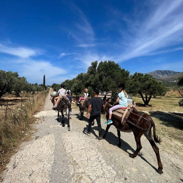 donkey-ride-cretan-country
