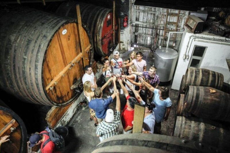 douro-premium-wine-tasting-and-tapas-tour