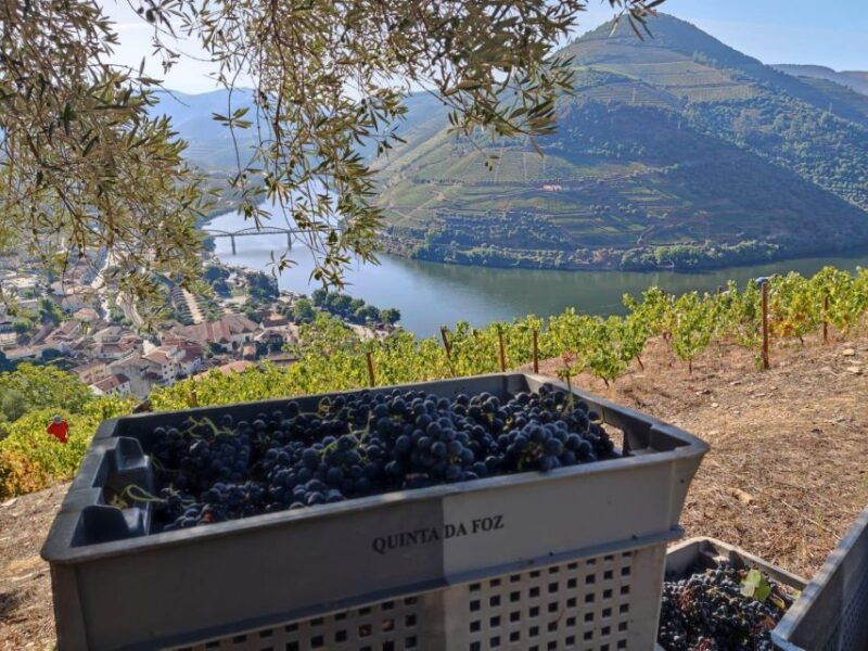 douro-valley-pinhao-quinta-da-foz-tourtasting-5-wines