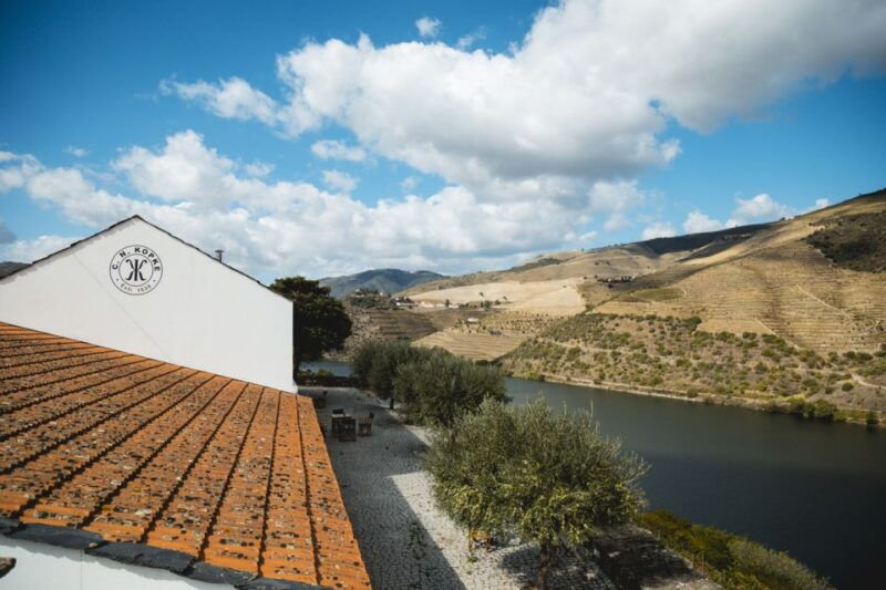douro-valley-quinta-de-s-luiz-winery-tour-and-tasting