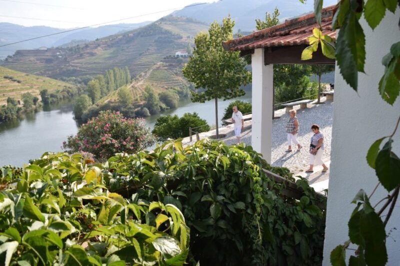 douro-valley-quinta-do-tedo-wine-experience-with-picnic