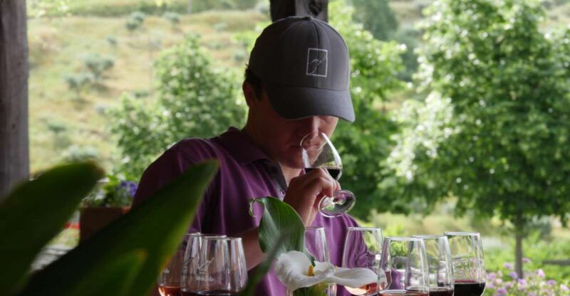 douro-valley-quinta-do-tedo-winery-tour-and-tasting